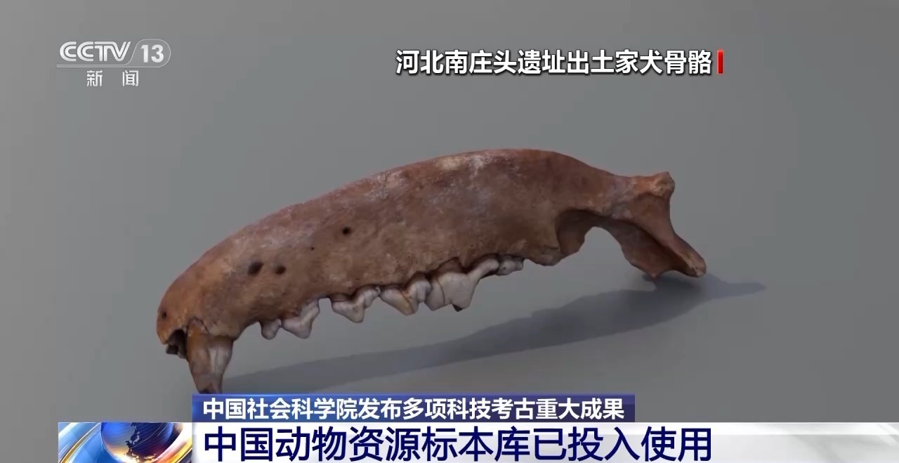 织造年代不晚于公元750年 中国是古典纺织技术扎经染色主要发源地