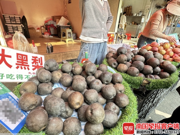 高价“网红黑梨”，是什么来头？专家揭秘