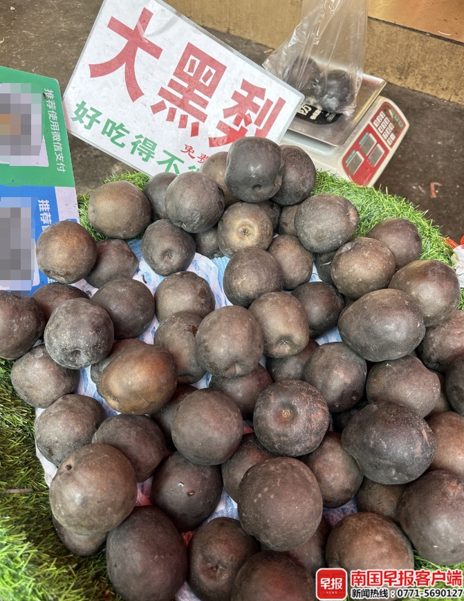 高价“网红黑梨”，是什么来头？专家揭秘