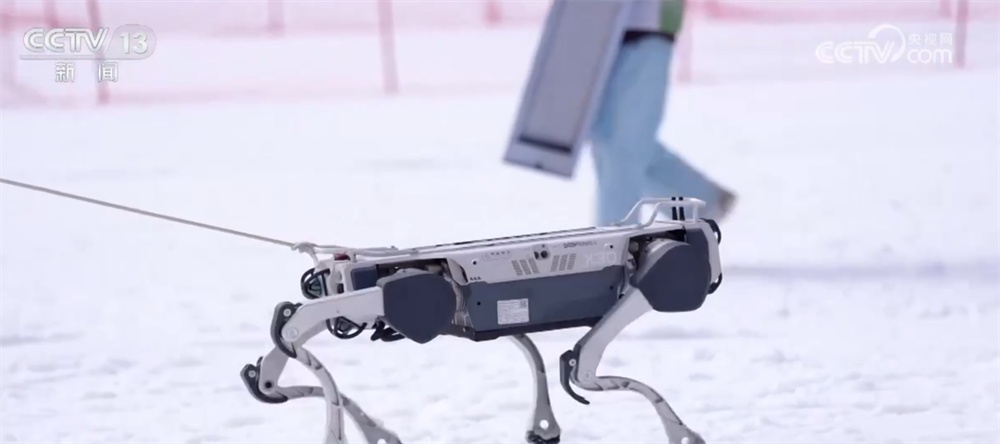 各地以冰雪为“媒”撬动“冷资源”转化为“热经济” 点燃冬日消费热潮