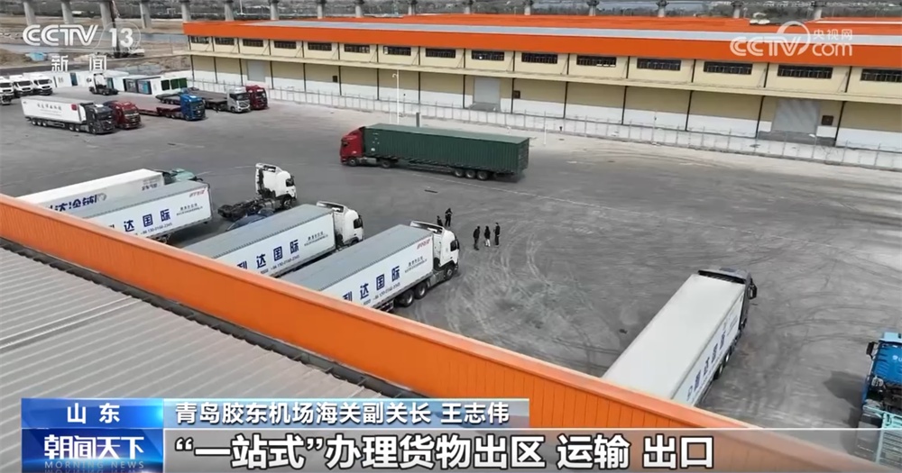 跨境物流再升级、试点“一站式”直达……多举措全力稳住外贸基本盘