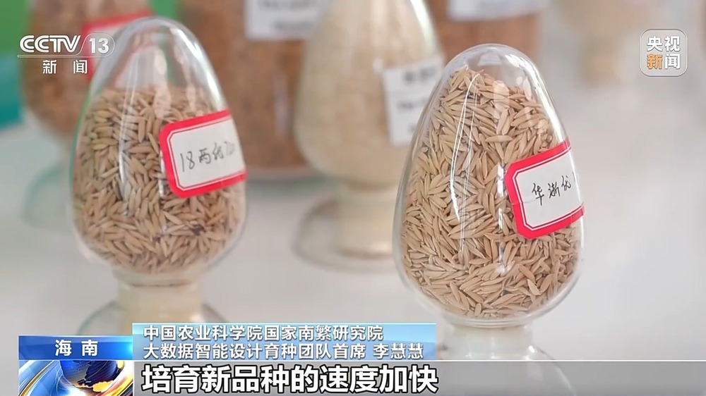 从能源到育种 我国人工智能企业数量已超6200家