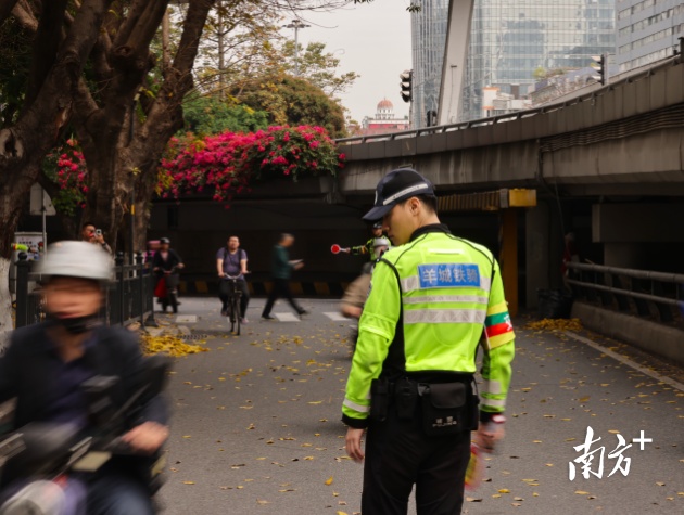 广州“电鸡围城”之困何解？