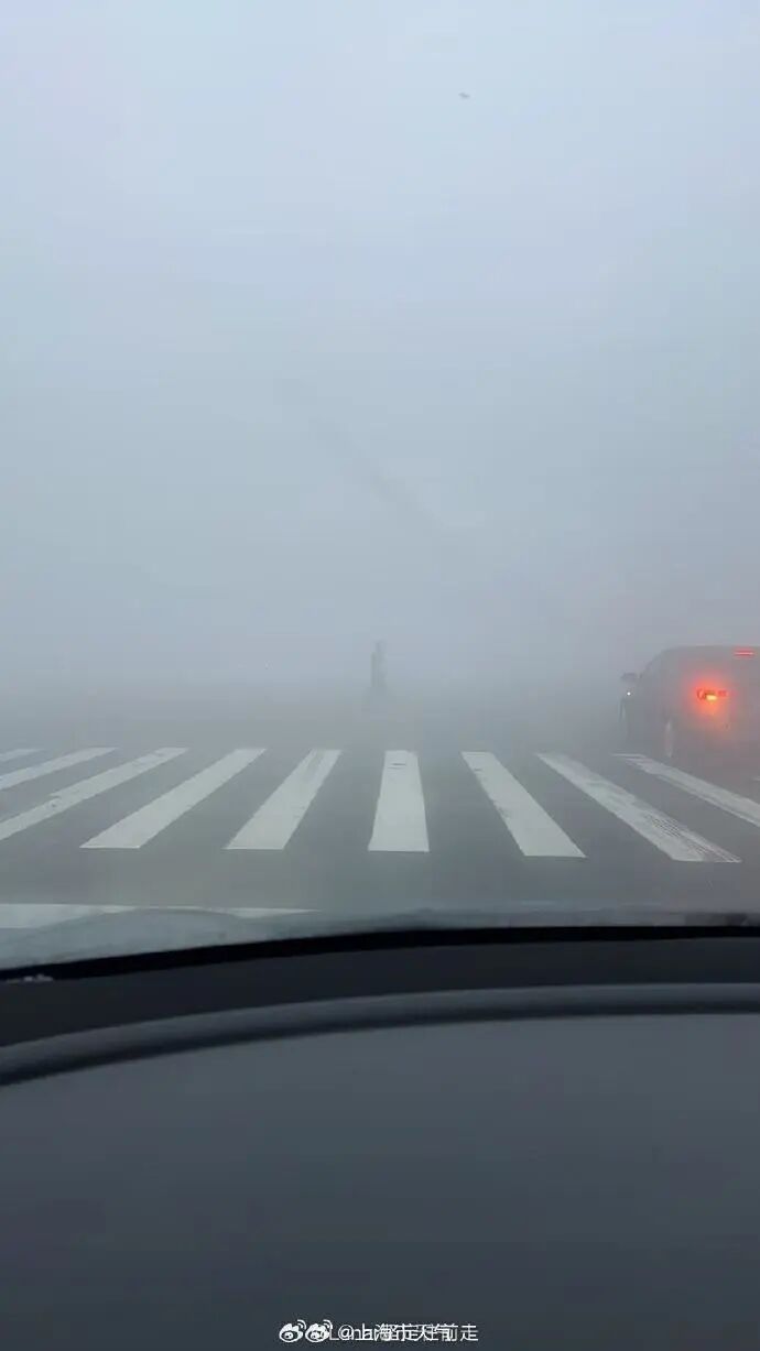 上海全城预警！大雾来袭，部分地区将出现能见度小于50米强浓雾！注意防范→