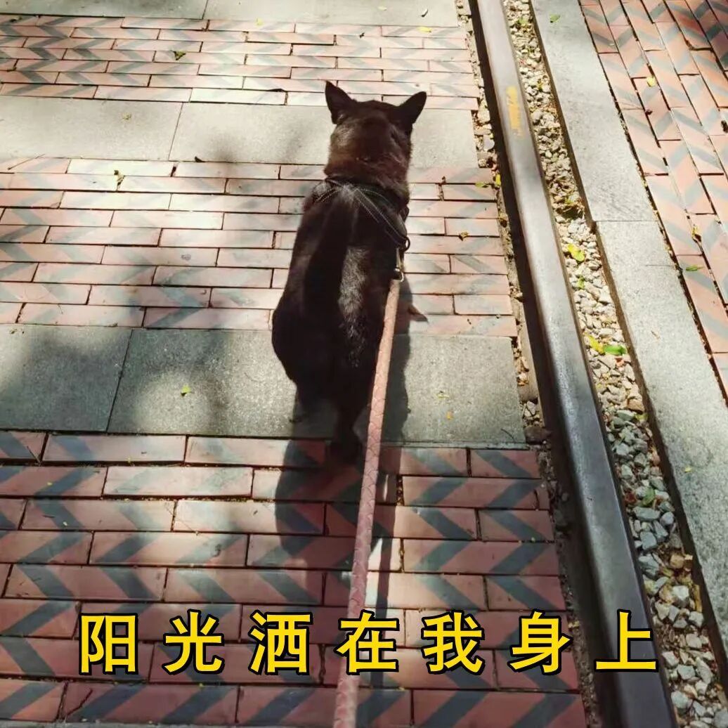 超强寒潮即将来袭！厦门下周开始气温“跳水”