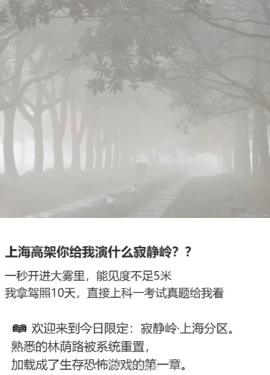 重度污染！路都看不见了，今晨上海大雾，网友吐槽：“一觉醒来，重生在寂静岭”