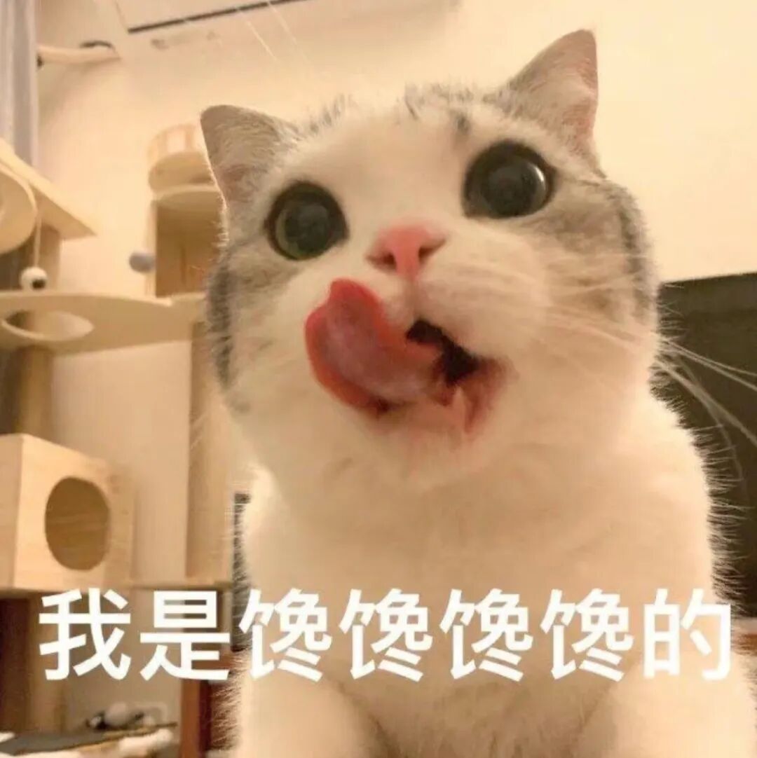 当大学生学会了蒸馒头 什么巧克力、辣条就都加入进去了