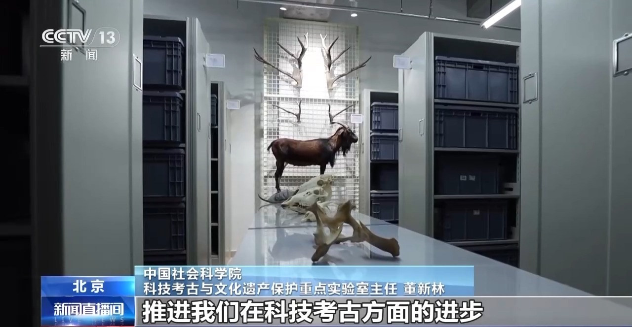 织造年代不晚于公元750年 中国是古典纺织技术扎经染色主要发源地