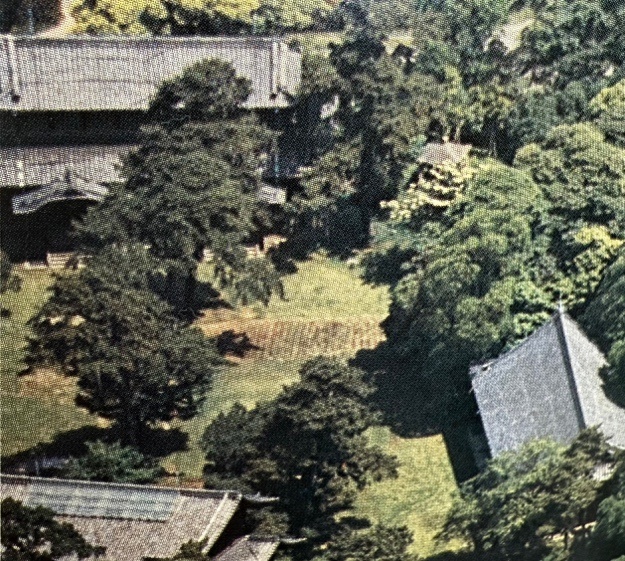 证据确凿！证据链完整！这件现存日本的珍贵文物属于中国