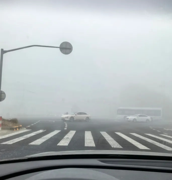 东方明珠今早“消失”了？上海像“迷雾森林”！多区正处于重度污染！尽量别出门！