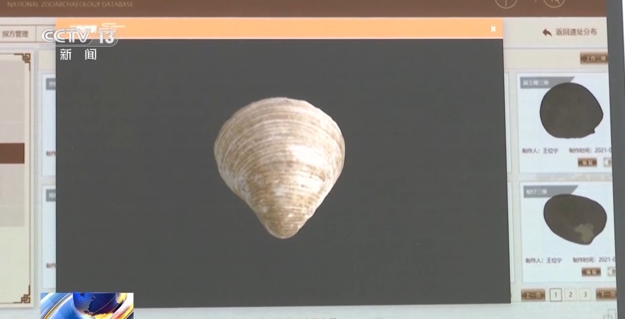 织造年代不晚于公元750年 中国是古典纺织技术扎经染色主要发源地