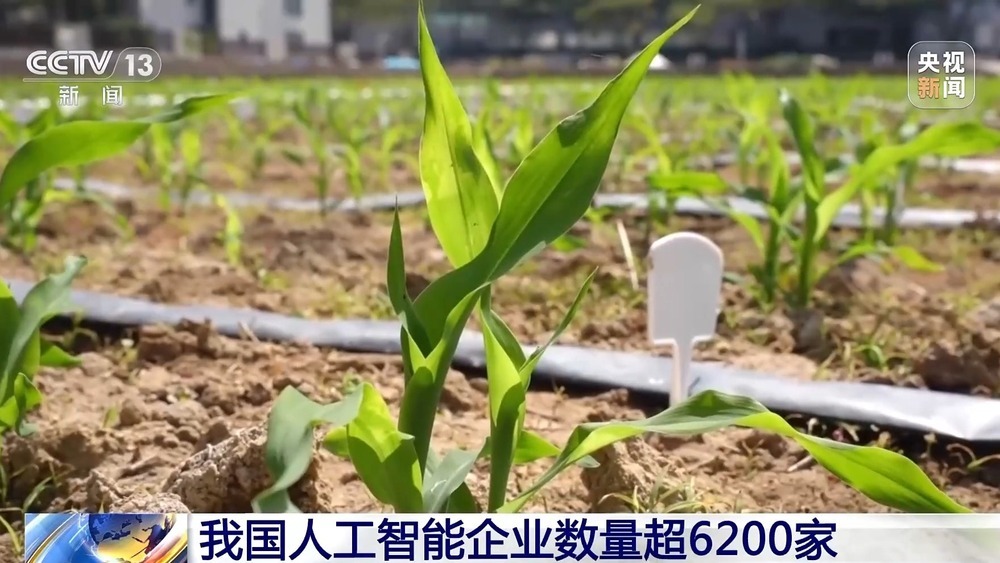从能源到育种 我国人工智能企业数量已超6200家