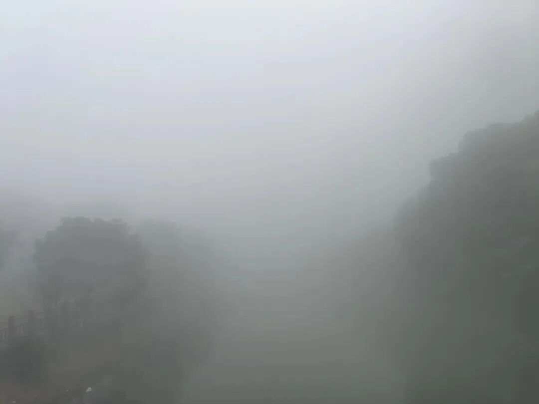 上海全城预警！大雾来袭，部分地区将出现能见度小于50米强浓雾！注意防范→