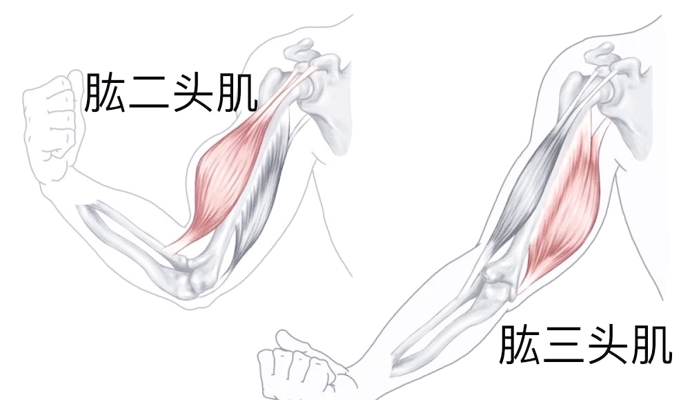 杭州九旬奶奶长出“大肌肉”，家人以为是癌，结果发现......是断了！