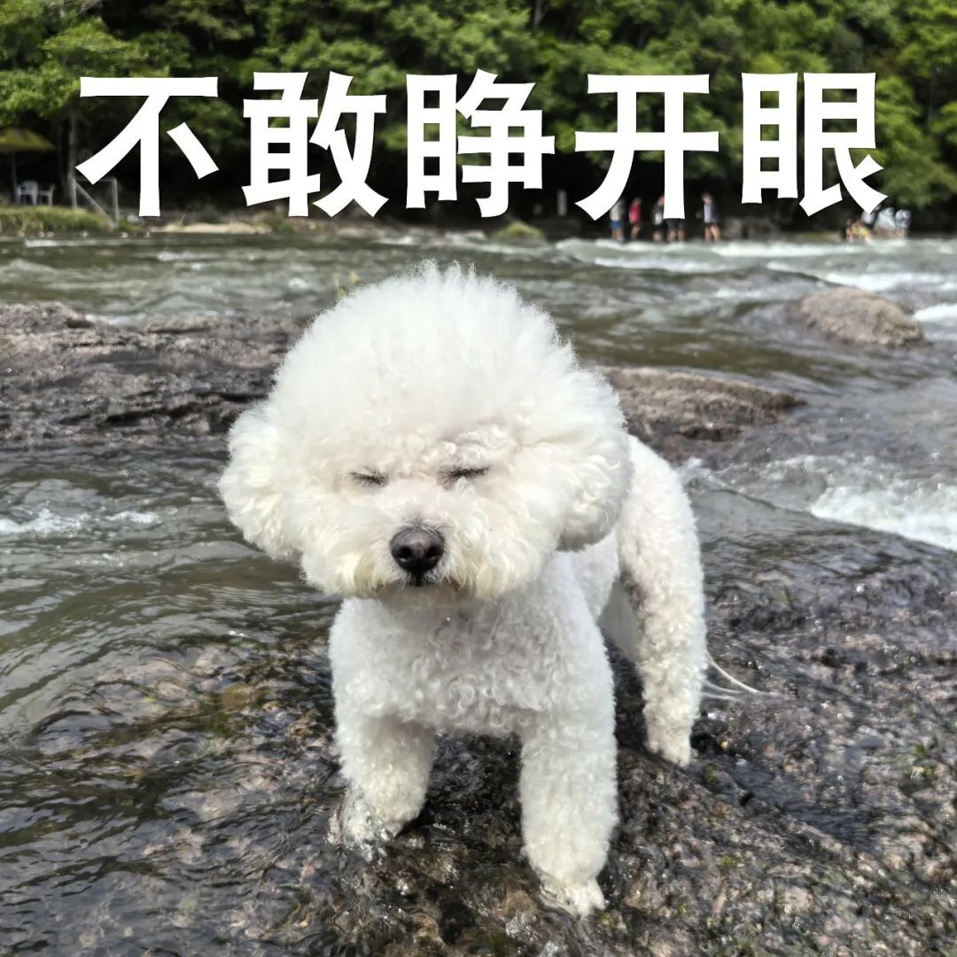 超强寒潮即将来袭！厦门下周开始气温“跳水”