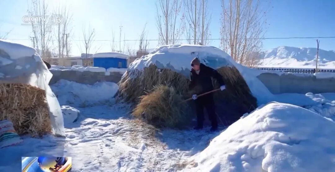 寒潮预警！我国大部将现大风降温