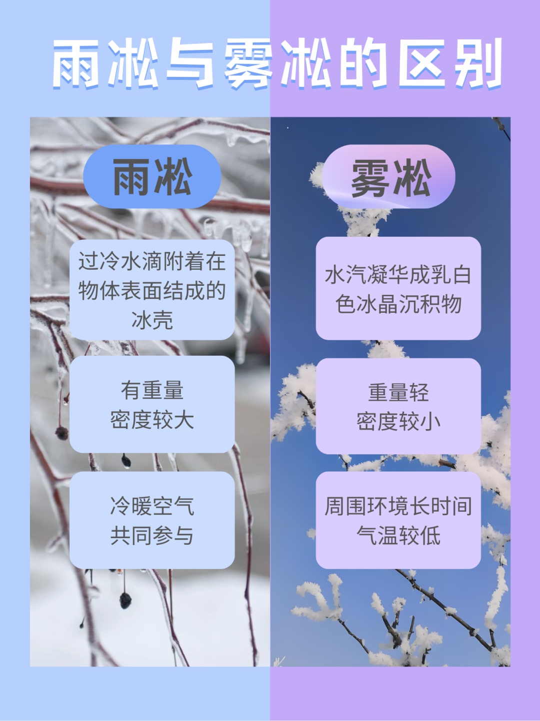 数据新闻 | 解码冻雨 科学防御落地成冰的“隐形灾害”