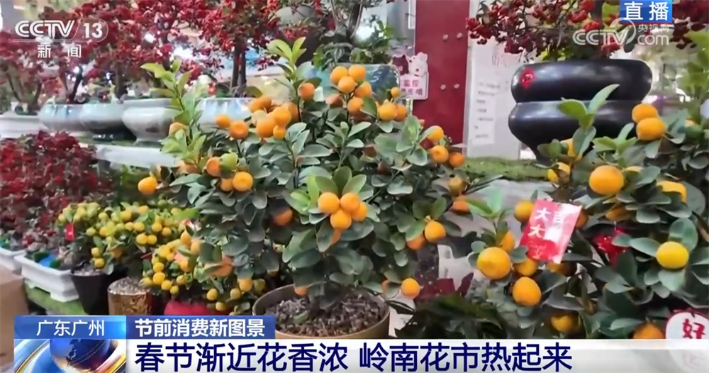 花市“热”起来涌动节前消费暖流 浓浓“年味”映射出中国市场韧性强、活力足