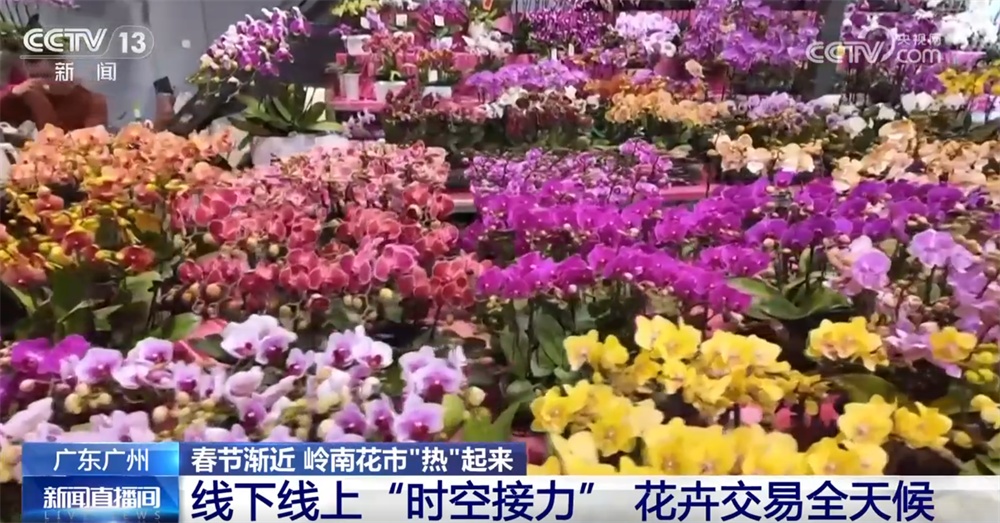花市“热”起来涌动节前消费暖流 浓浓“年味”映射出中国市场韧性强、活力足
