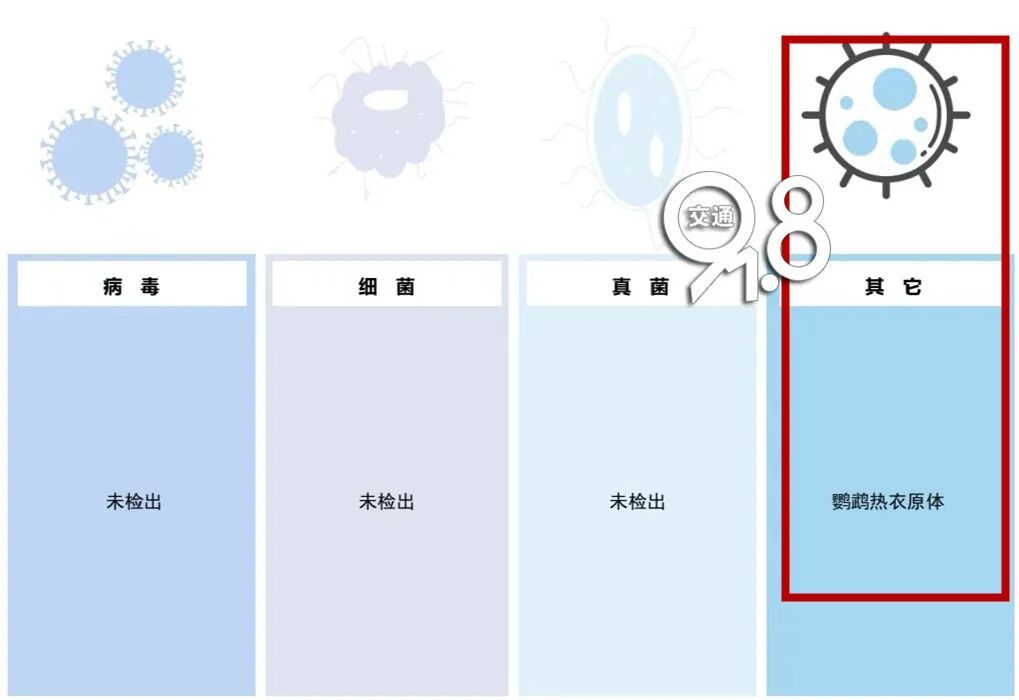 无基础病史，男子高热、咯血！医生：元凶是家里那只鸟