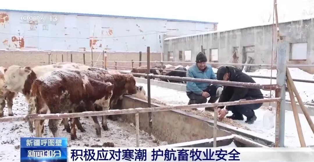 寒潮预警！我国大部将现大风降温