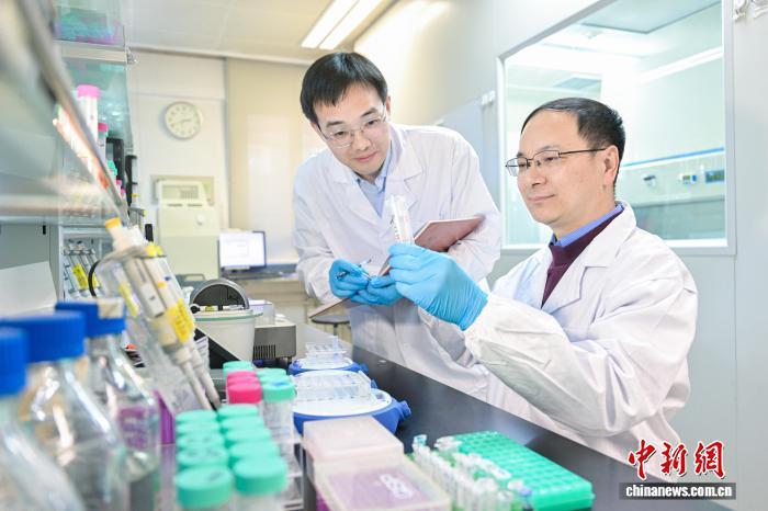 如何精准清除“致病蛋白”？中国科学家创新研发开辟新路径