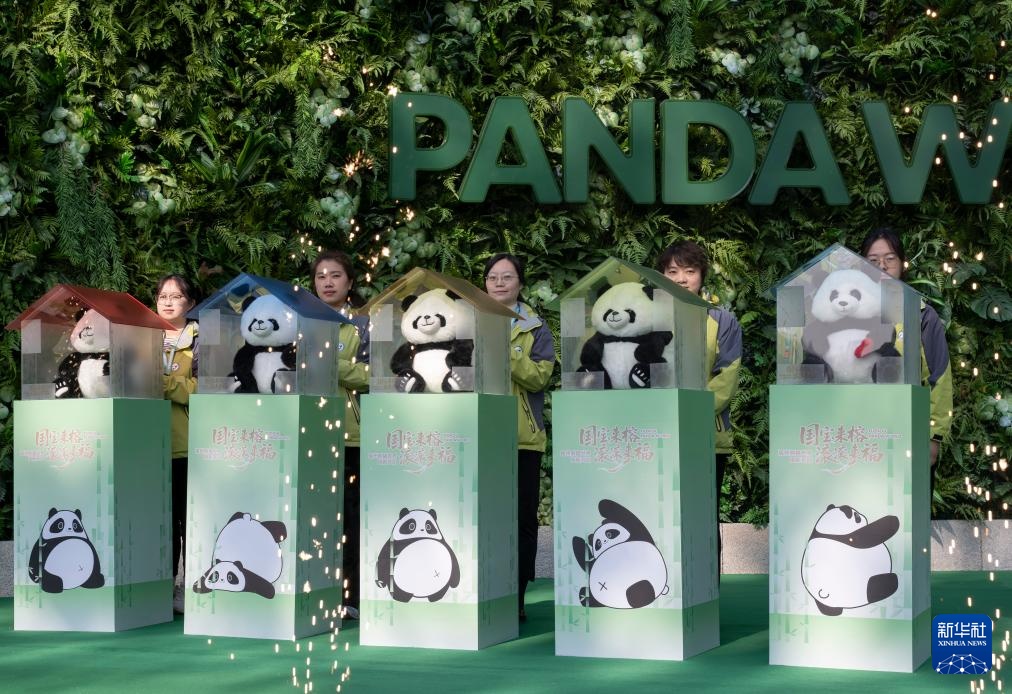 国宝大熊猫福州安新家