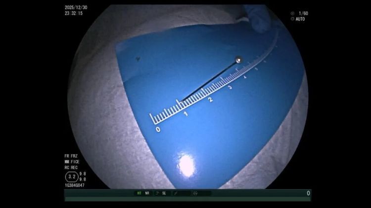 千万别试！这“玩具”突然火了，却暗藏风险