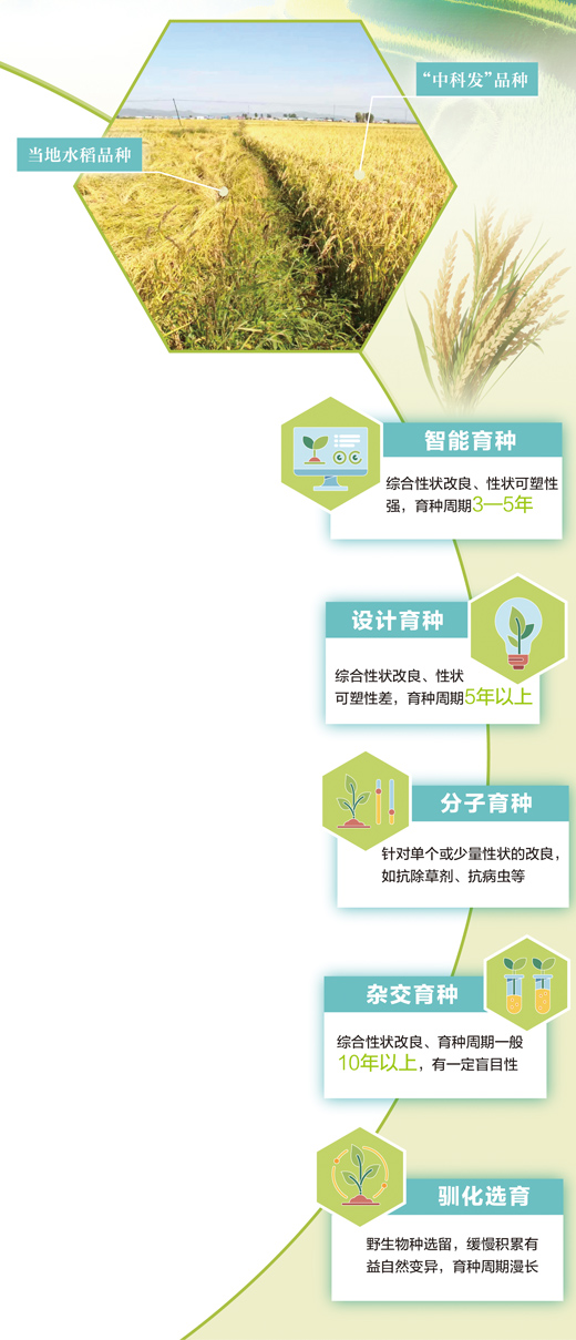院士讲科普：生命编程，让每粒种子拥有“智慧”
