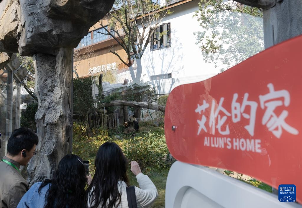 国宝大熊猫福州安新家