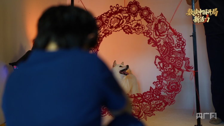 规模已超3000亿！宠物过年成春节消费新爆点