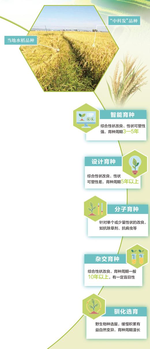 我们需要更“聪明”的种子