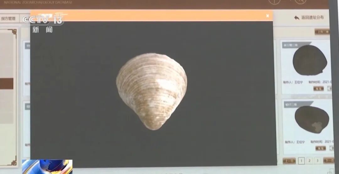 科技考古重大成果！青海都兰出土世界最早扎经染色织物实物