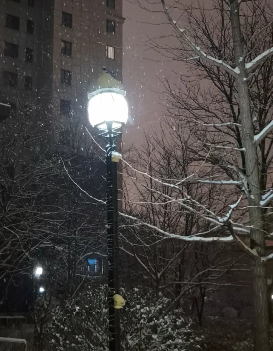 -36.4℃！辽宁出现低温极值