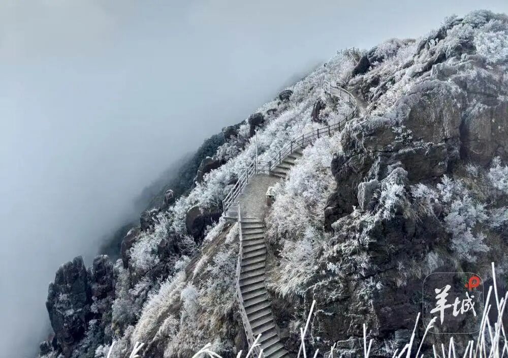 粤北或有雨夹雪！较强冷空气预计20日起影响广东，广州市区最低或7℃