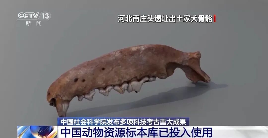 科技考古重大成果！青海都兰出土世界最早扎经染色织物实物