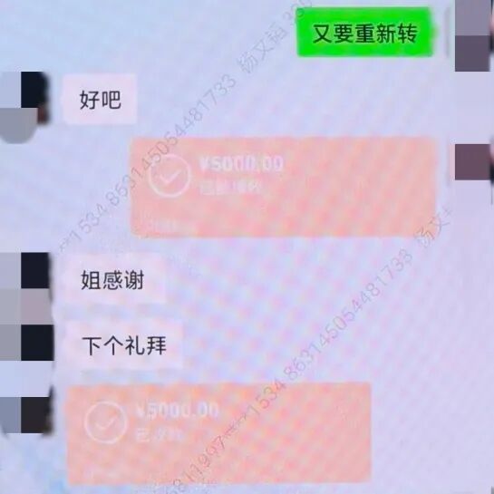 “家人们”变骗子！新昌公安跨省追缉破获“杀熟”诈骗案
