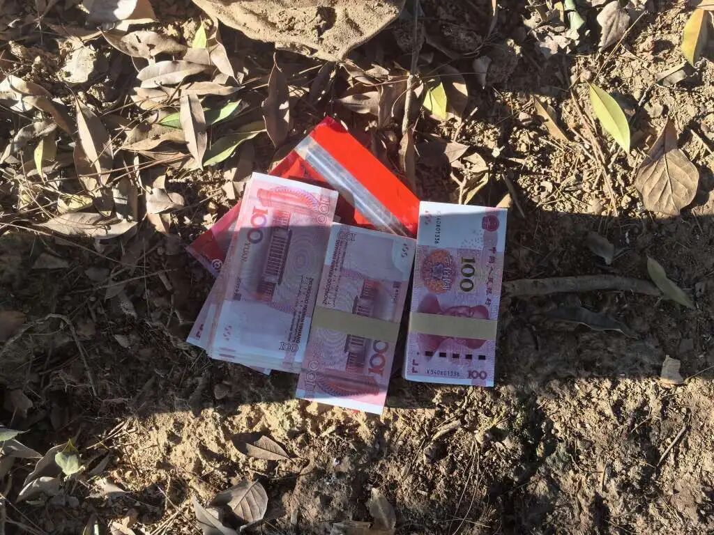 交给“派出所所长”的29000元现金，竟埋在了土里？