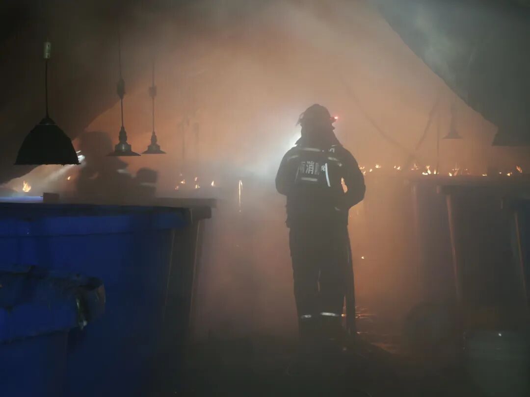 主人凌晨被惊醒，发现自己60万尾高价鲈鱼苗正被炙烤！