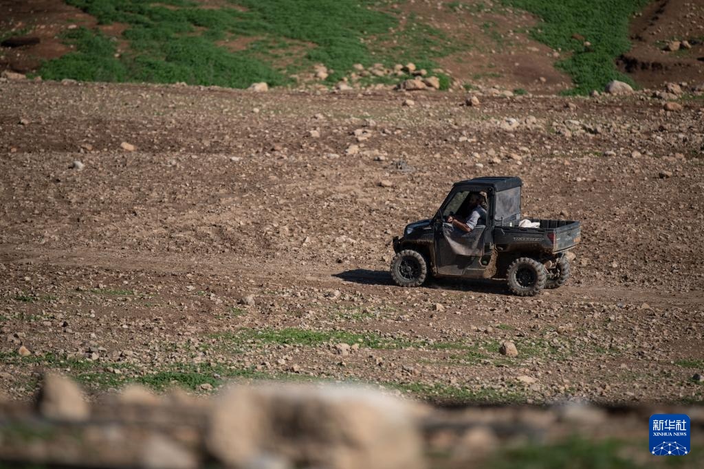 何以为家：一个贝都因村庄的被迫撤离