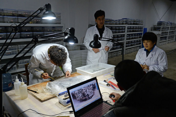 海昏侯墓十年考古发现：解码汉代文明的新窗口