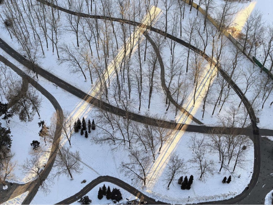 “四九”第一天，冷得不掺假！辽宁今晚这些地方下雪！