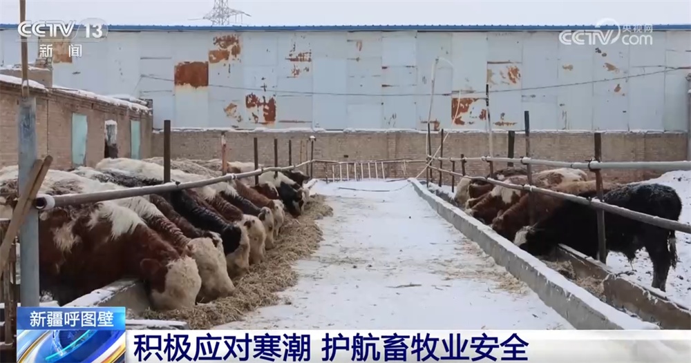新一轮大范围雨雪天气影响我国 多地积极应对保障民生、护航畜牧业安全