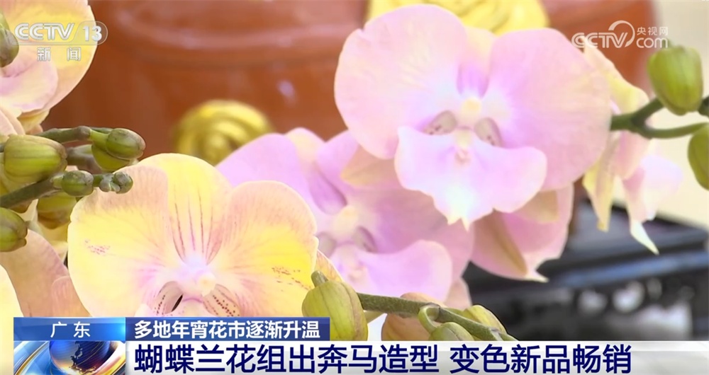 多地年宵花市逐渐升温“新”意涌现 “线上+线下”供销旺让生活锦上添“花”