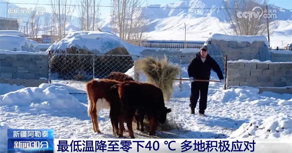 新一轮大范围雨雪天气影响我国 多地积极应对保障民生、护航畜牧业安全