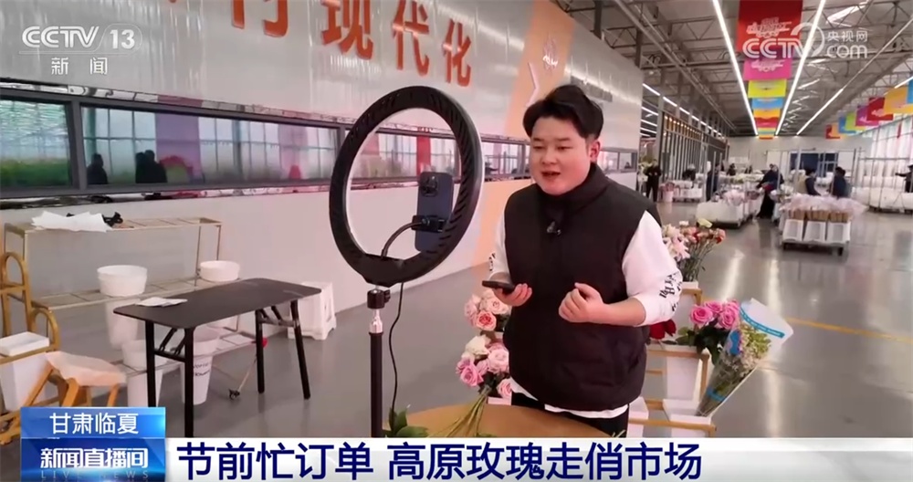 高原玫瑰走俏市场 以“智”赋能、向“新”而行绘就鲜切花产业发展新图景