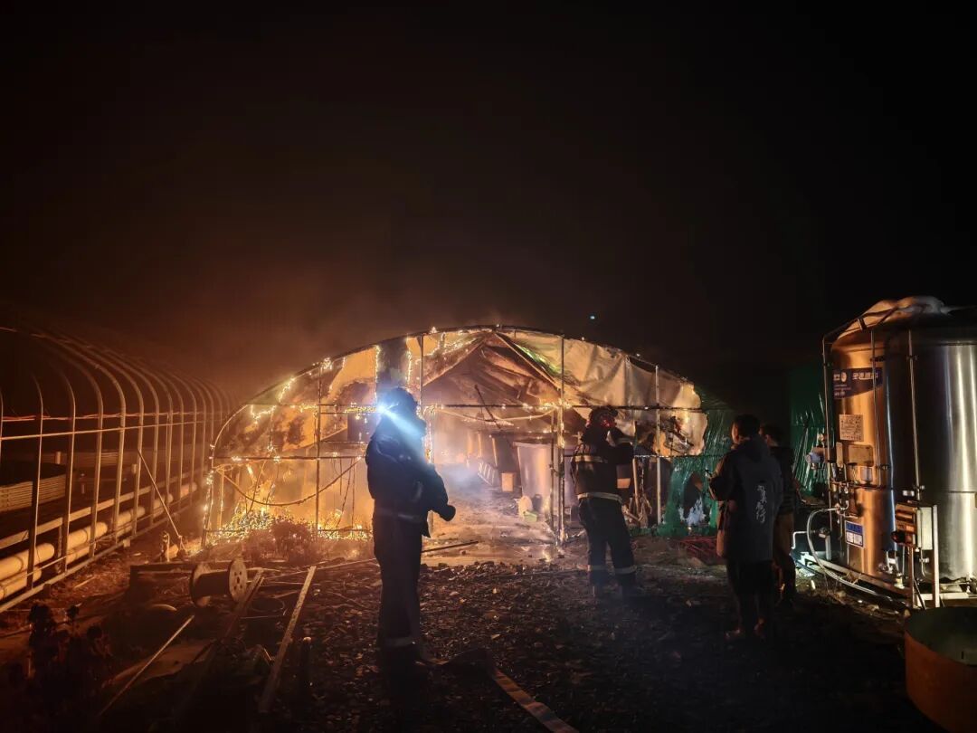 主人凌晨被惊醒，发现自己60万尾高价鲈鱼苗正被炙烤！