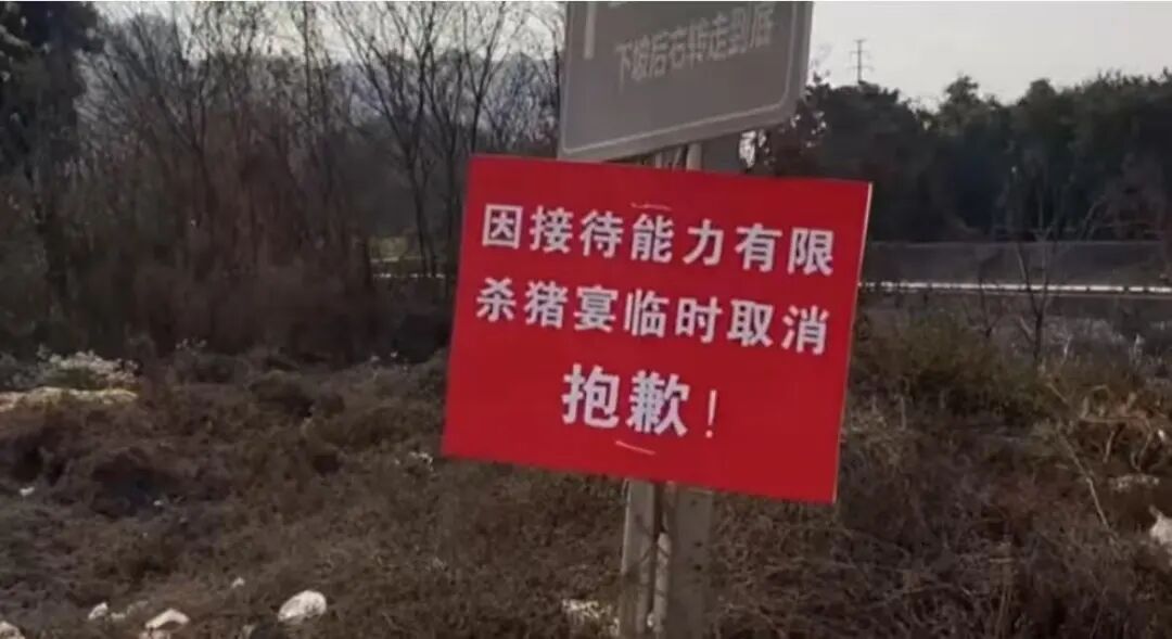 多场“刨猪宴”，临时取消！