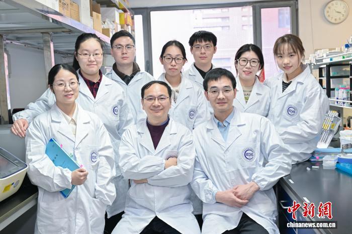 如何精准清除“致病蛋白”？中国科学家创新研发开辟新路径