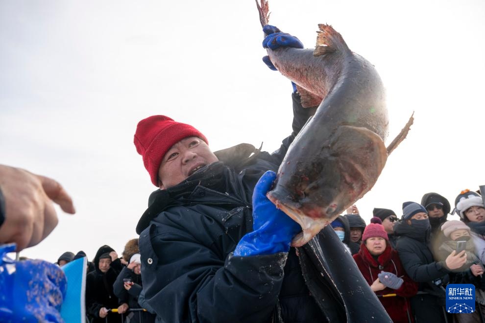 万鱼腾跃 在中俄界湖体验冬捕